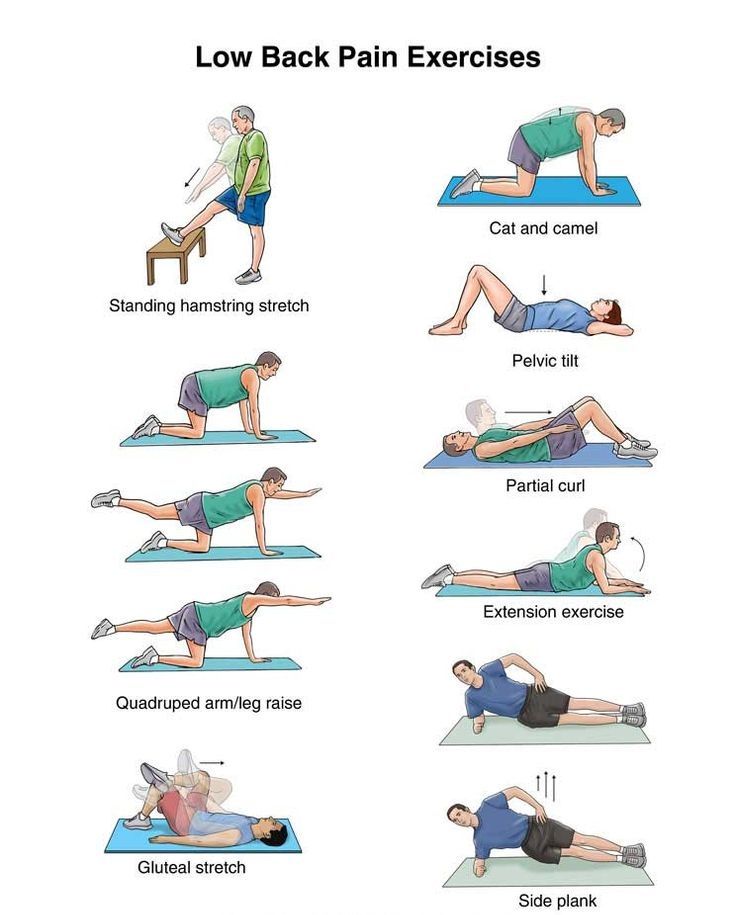 Exercises for Back Pain - Chiropractor Mankato